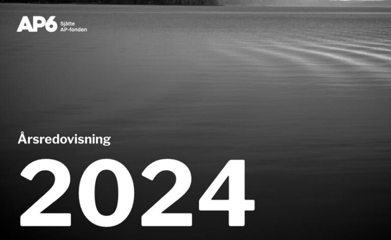 AP6 årsredovisning 2024 thumbnail