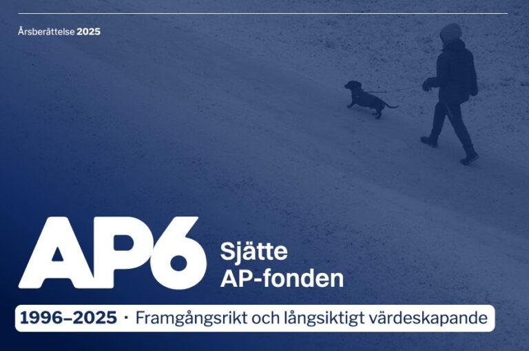 AP6 årsredovisning 2025 thumbnail